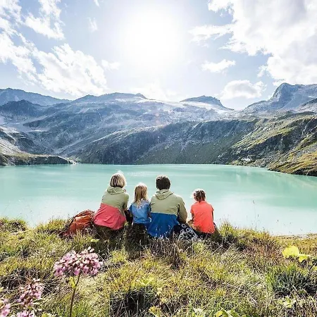 Pinzgau 1a 1b Wald im Pinzgau